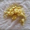 5-MeO DMT