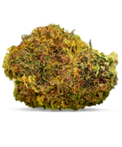 Buy Bubba Kush Strain for Sale