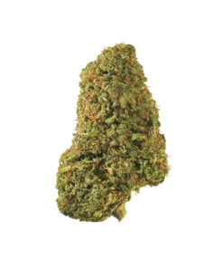 Buy Bubba Kush Strain for Sale