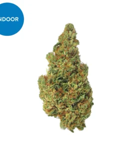 Buy Gelato Sunset strain