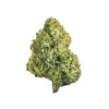 Buy Hawaiian Haze Strain