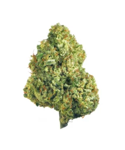 Buy Hawaiian Haze Strain