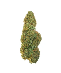 Buy Legendary OG Strain for Sale