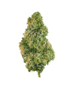 Buy OG Kush Strain for Sale