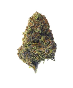 Buy Sour Dog Strain