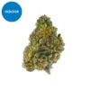 Buy Strawberry Haze Strain
