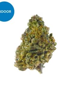 Buy Strawberry Haze Strain