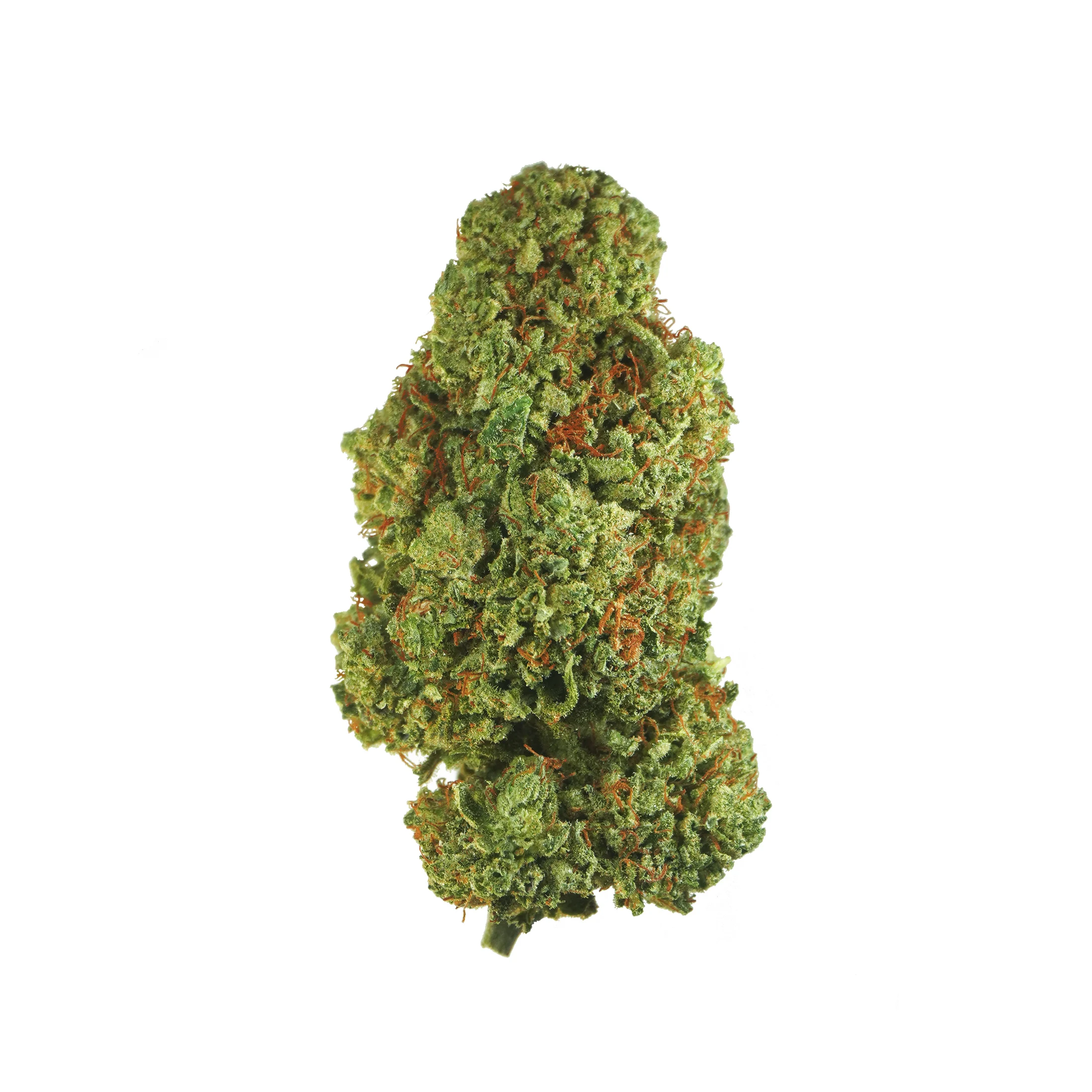 Elektra Strain for Sale Elektra Strain for Sale