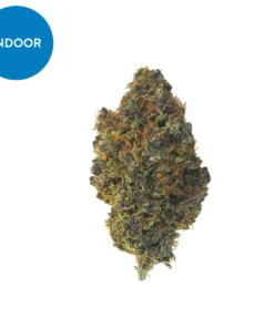 Buy Berry Cobbler Strain