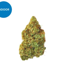 Order Sour Tsunami Strain