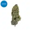 Cosmic Kush for Sale