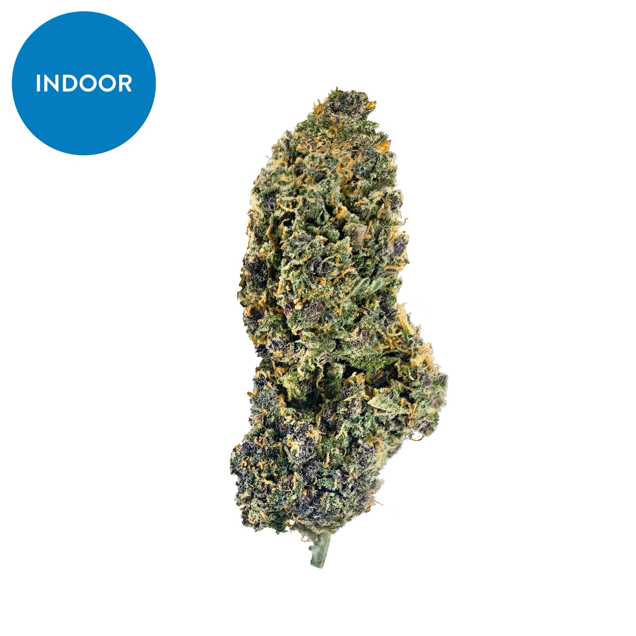 Cosmic Kush for Sale Cosmic Kush for Sale